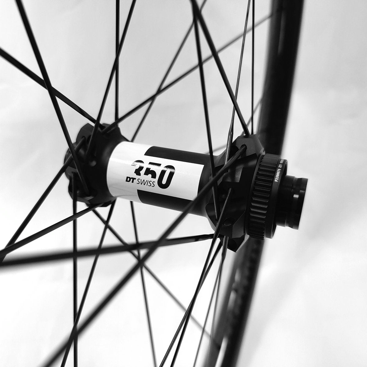 Bijproduct Panter vergeetachtig Carbon MTB Wheelset - Handmade DT 350 SP Trail Wheels | Carbonal Bike