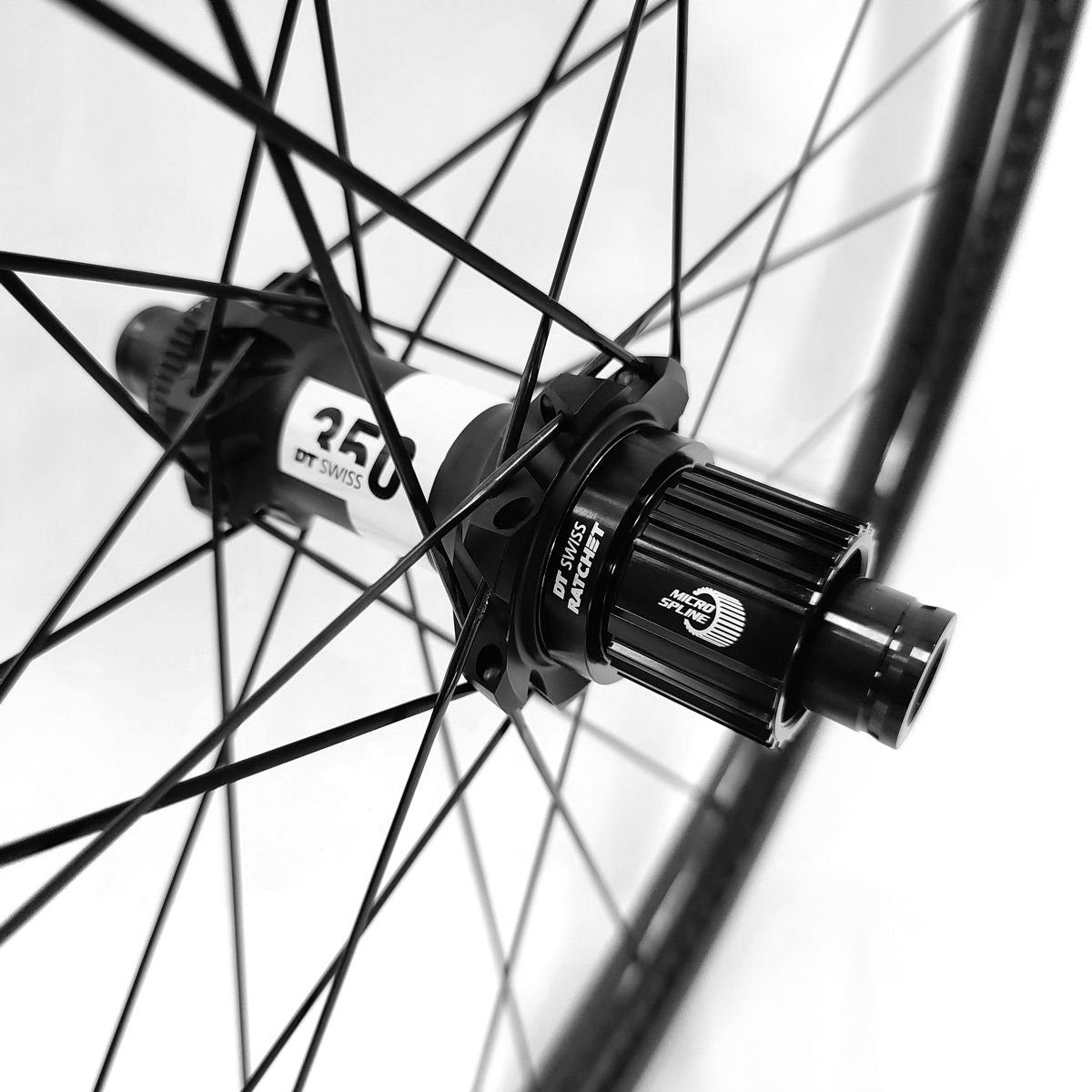 Carbon MTB Wheelset - Handmade DT 350 SP Enduro Wheels | Carbonal Bike